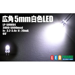 画像: 5mm広角白色LED　MAX5000ｍｃｄ