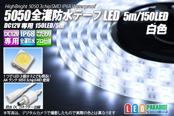 画像1: 全灌防水テープLED 30LED/m IP68 白色 5m