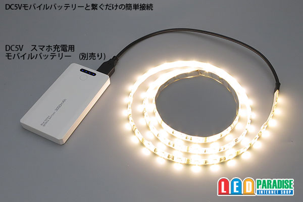 画像: DC5V 3528テープLED 60LED/m 防水 電球 1m